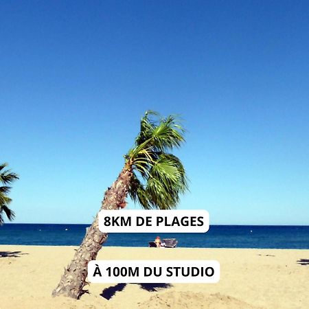 Appartement A 100M De La Plage - Terrasse & Parking Prive 르발카레스 외부 사진