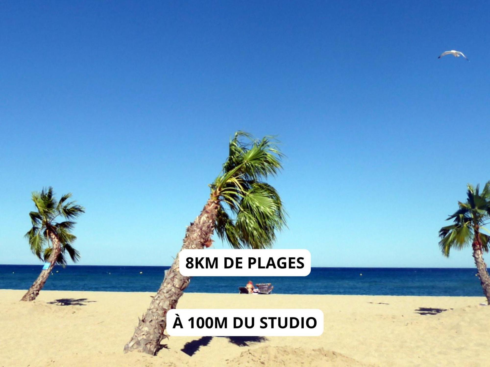 Appartement A 100M De La Plage - Terrasse & Parking Prive 르발카레스 외부 사진